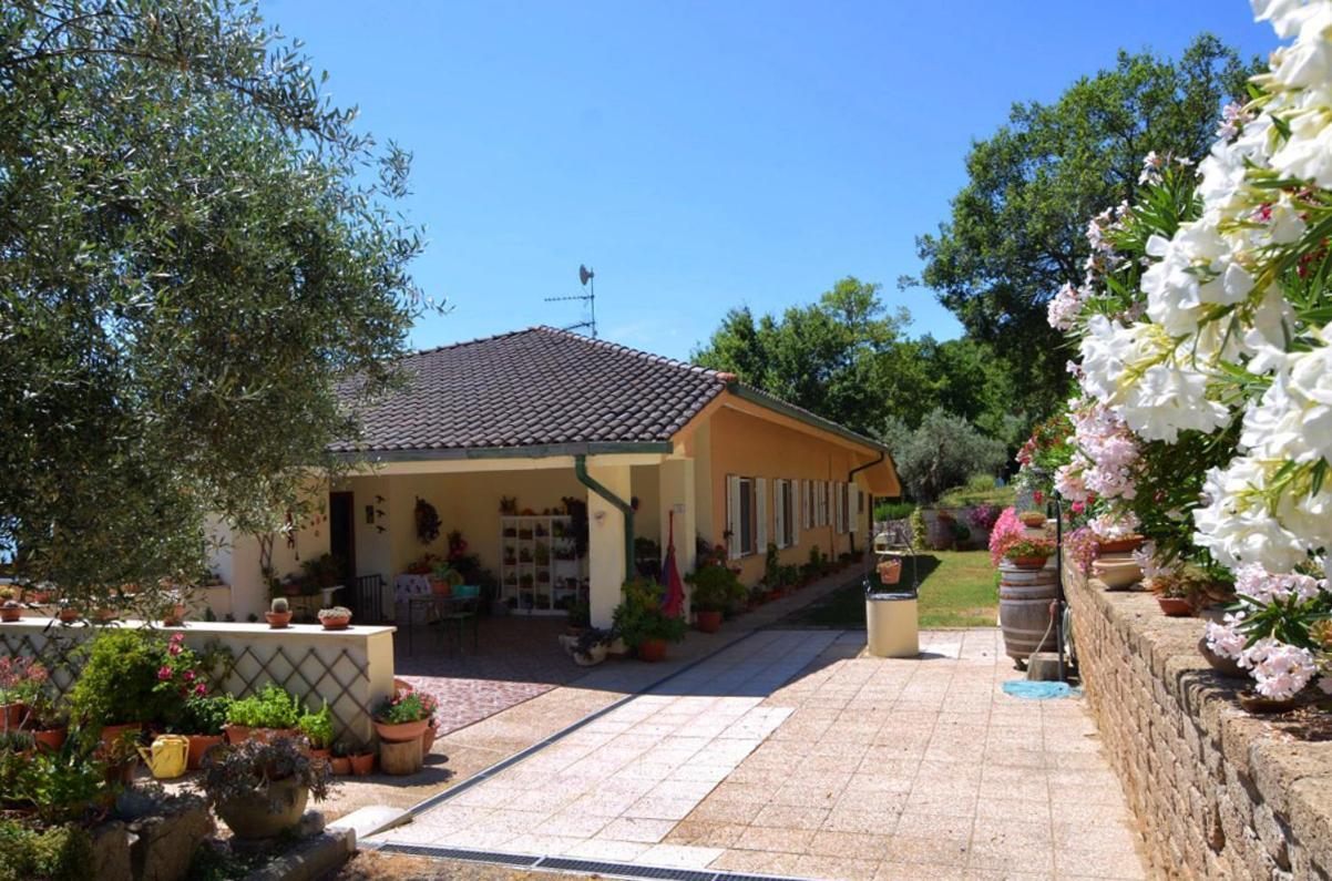 B&B Torre Del Lago Trasimeno Passignano sul Trasimeno Exterior foto